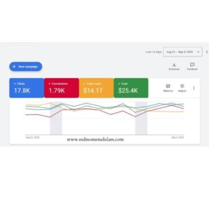 Screenshot of Google Ads campaign in USA with 17.8k clicks, 1.79k conversions, $25.4k cost