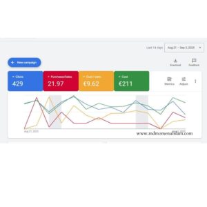 Screenshot of AI-driven Google Ads campaign in USA with 429 clicks, 21 purchases, $9.62 cost